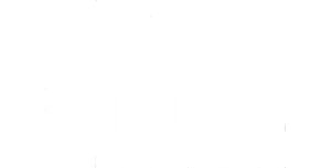 TRUSS Professional